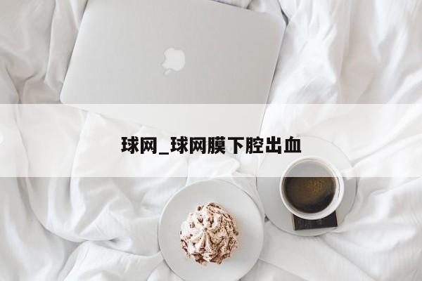 球网_球网膜下腔出血
