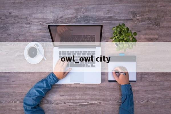 owl_owl city