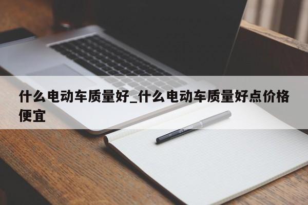什么电动车质量好_什么电动车质量好点价格便宜