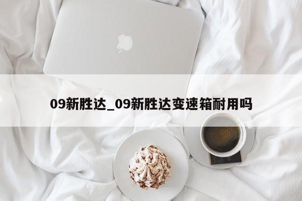 09新胜达_09新胜达变速箱耐用吗