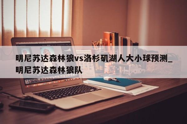明尼苏达森林狼vs洛杉矶湖人大小球预测_明尼苏达森林狼队