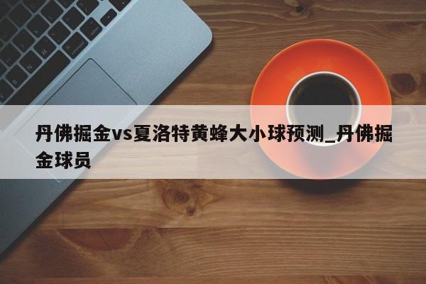 丹佛掘金vs夏洛特黄蜂大小球预测_丹佛掘金球员