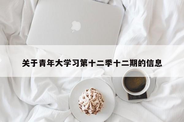 关于青年大学习第十二季十二期的信息