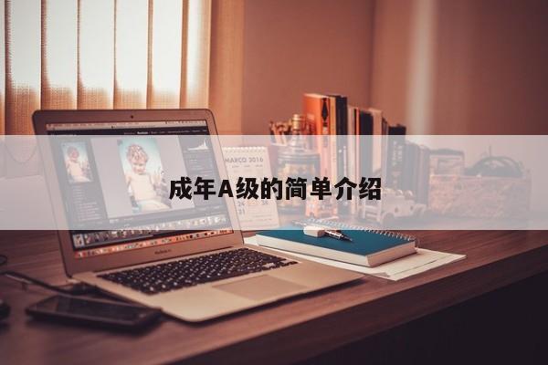 成年A级的简单介绍