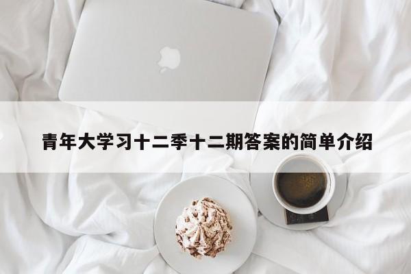 青年大学习十二季十二期答案的简单介绍