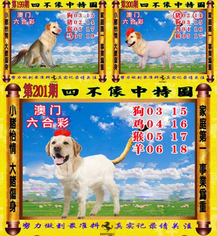 澳门今天晚上开什么?{678体育登录入口 5894.CC} 澳门今天晚上开什么?{678体育登录入口 5894.CC}